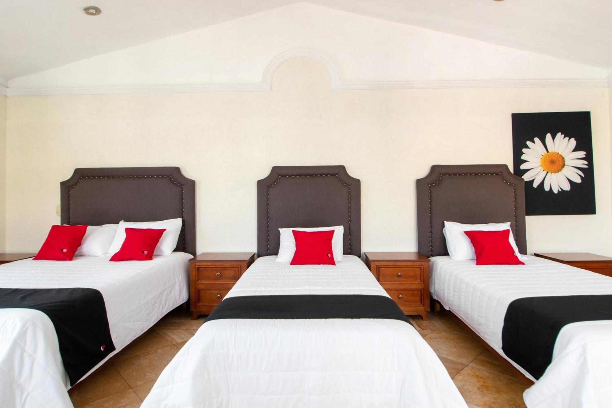Capital O San Jose, San Luis Potosi Hotell Eksteriør bilde